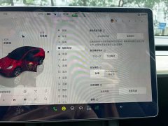 Tesla Model Y Rear-Wheel Drive - ფოტო 19