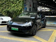 Tesla Model Y Rear-Wheel Drive - ფოტო 2