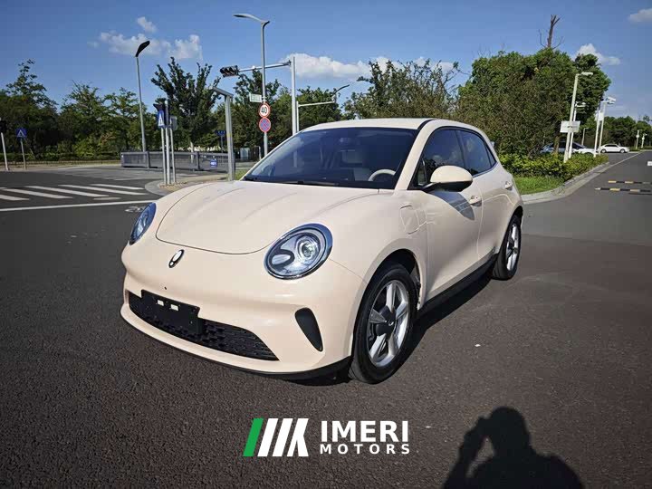 ORA Good Cat 2025 430km Luxury - ავტომობილი ჩინეთიდან
