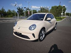 ORA Good Cat 2025 430km Luxury - ფოტო 1