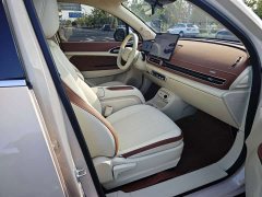 ORA Good Cat 2025 430km Luxury - ფოტო 10