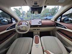 ORA Good Cat 2025 430km Luxury - ფოტო 12