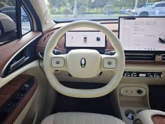 ORA Good Cat 2025 430km Luxury - ფოტო 14