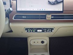ORA Good Cat 2025 430km Luxury - ფოტო 17