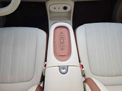 ORA Good Cat 2025 430km Luxury - ფოტო 18
