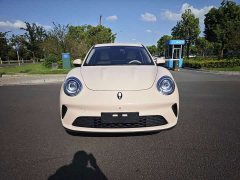 ORA Good Cat 2025 430km Luxury - ფოტო 2