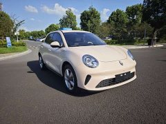 ORA Good Cat 2025 430km Luxury - ფოტო 3