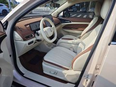 ORA Good Cat 2025 430km Luxury - ფოტო 8