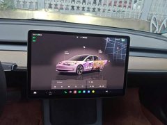 Tesla Model 3 2022 Rear-Wheel Drive - ფოტო 13