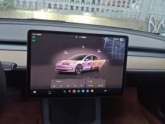 Tesla Model 3 2022 Rear-Wheel Drive - ფოტო 14