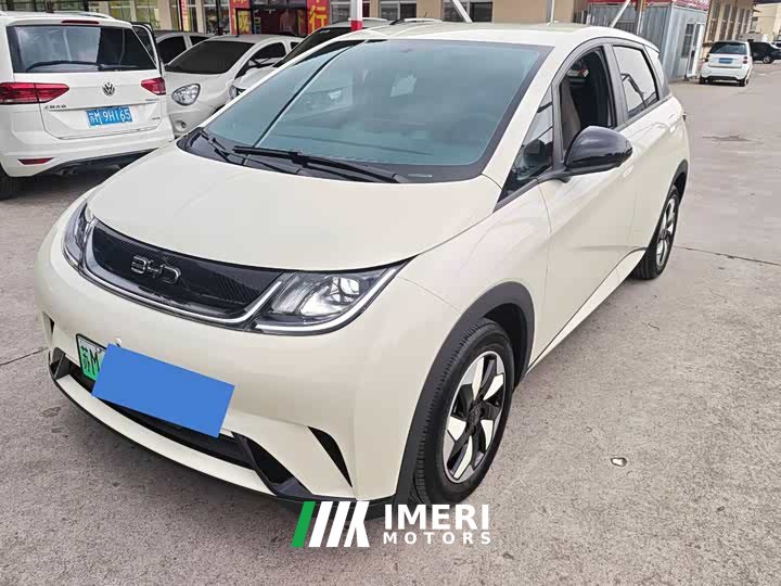 BYD Dolphin 2025 420km Freedom Edition - ავტომობილი ჩინეთიდან