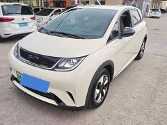 BYD Dolphin 2025 420km Freedom Edition - ფოტო 1