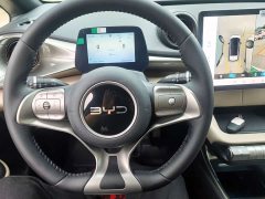 BYD Dolphin 2025 420km Freedom Edition - ფოტო 11