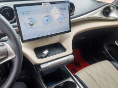 BYD Dolphin 2025 420km Freedom Edition - ფოტო 12