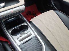 BYD Dolphin 2025 420km Freedom Edition - ფოტო 13