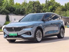 Voyah Lantu FREE 2021 Four-Wheel Drive Standard Extended Range Exclusive Luxury Package - ფოტო 1