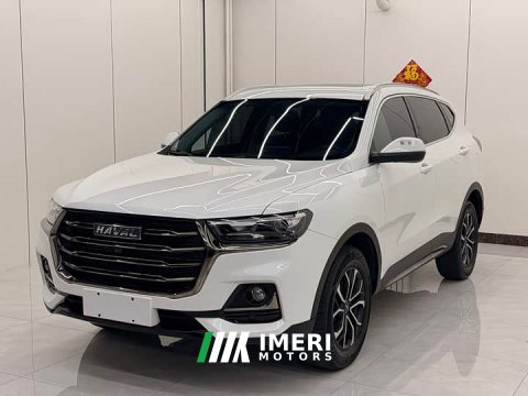 2022 Haval H6 2021 National Trend 1.5T Automatic Champion Edition - ავტომობილი ჩინეთიდან