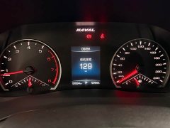 Haval H6 2021 National Trend 1.5T Automatic Champion Edition - ფოტო 20