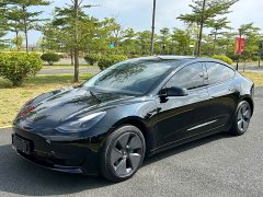 Tesla Model 3 Standard Range RWD Upgrade 3D6 - ფოტო 1