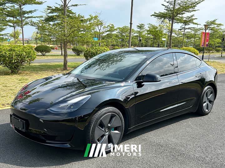 Tesla Model 3 Standard Range RWD Upgrade 3D6