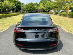 Tesla Model 3 Standard Range RWD Upgrade 3D6 - ფოტო 8