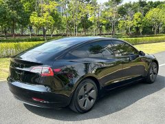 Tesla Model 3 Standard Range RWD Upgrade 3D6 - ფოტო 9