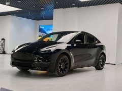 Tesla Model Y Rear-Wheel Drive - ფოტო 1