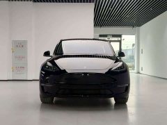 Tesla Model Y Rear-Wheel Drive - ფოტო 2