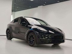 Tesla Model Y Rear-Wheel Drive - ფოტო 3