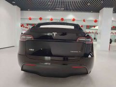 Tesla Model Y Rear-Wheel Drive - ფოტო 8