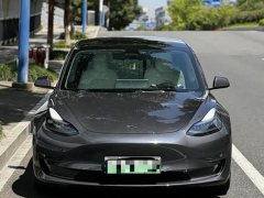 Tesla Model 3 Performance All-Wheel Drive - ფოტო 2