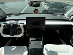 Tesla Model 3 Performance All-Wheel Drive - ფოტო 5