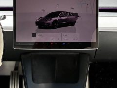 Tesla Model 3 Performance All-Wheel Drive - ფოტო 7
