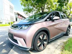 BYD Dolphin 401km Knight Edition - ფოტო 1