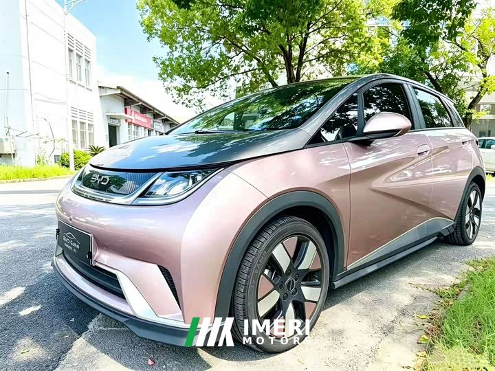 BYD Dolphin 401km Knight Edition