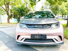 BYD Dolphin 401km Knight Edition - ფოტო 2