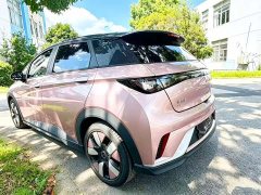 BYD Dolphin 401km Knight Edition - ფოტო 3