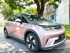 BYD Dolphin 401km Knight Edition - ფოტო 4