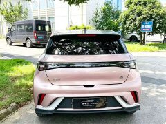 BYD Dolphin 401km Knight Edition - ფოტო 6