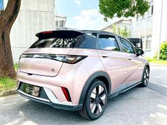 BYD Dolphin 401km Knight Edition - ფოტო 7