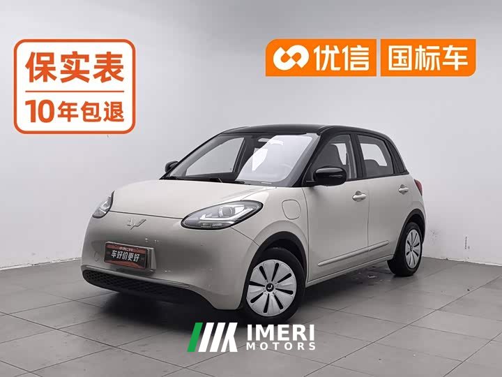 Wuling Binguo 2023 333km Quick Enjoy Edition - ავტომობილი ჩინეთიდან