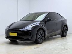 Tesla Model Y Long Range All-Wheel Drive - ფოტო 1