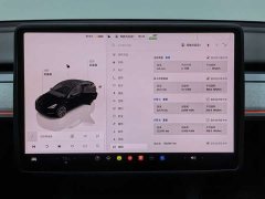Tesla Model Y Long Range All-Wheel Drive - ფოტო 7