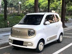 FAW Besturn Xiaoma 222km Lightning Edition - ფოტო 1