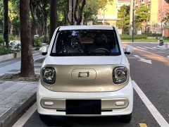 FAW Besturn Xiaoma 222km Lightning Edition - ფოტო 2