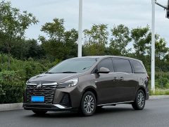 Buick GL8 Land Executive Cabin Premium - ფოტო 1