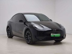 Tesla Model Y Rear-Wheel Drive - ფოტო 3