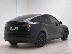 Tesla Model Y Rear-Wheel Drive - ფოტო 7