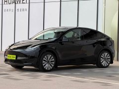 Tesla Model Y 2023 Rear-Wheel Drive - ფოტო 1
