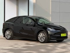 Tesla Model Y 2023 Rear-Wheel Drive - ფოტო 3